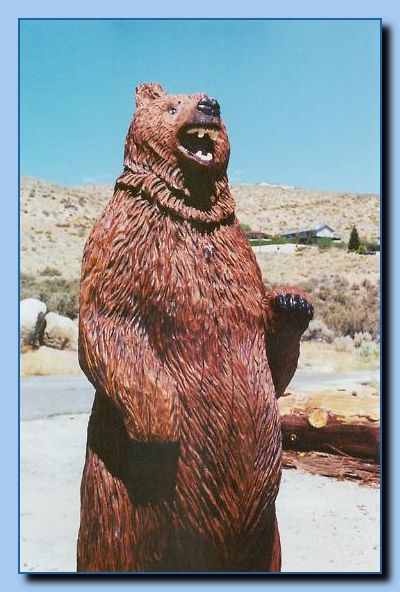 2-03 bear-archive-0002